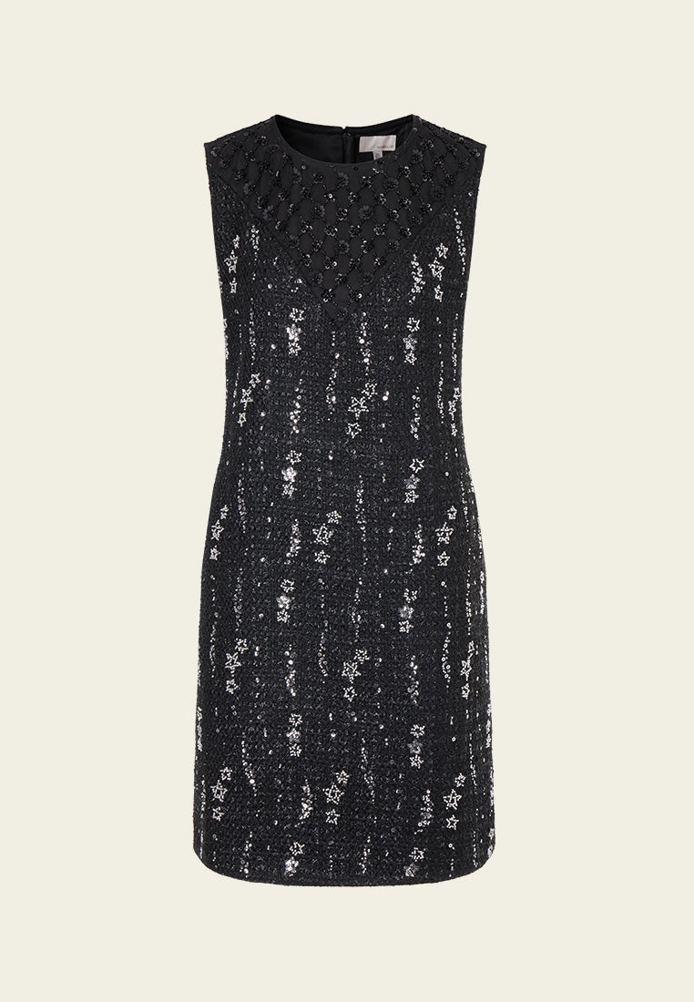Meteor Shower Embellished Sleeveless Dress