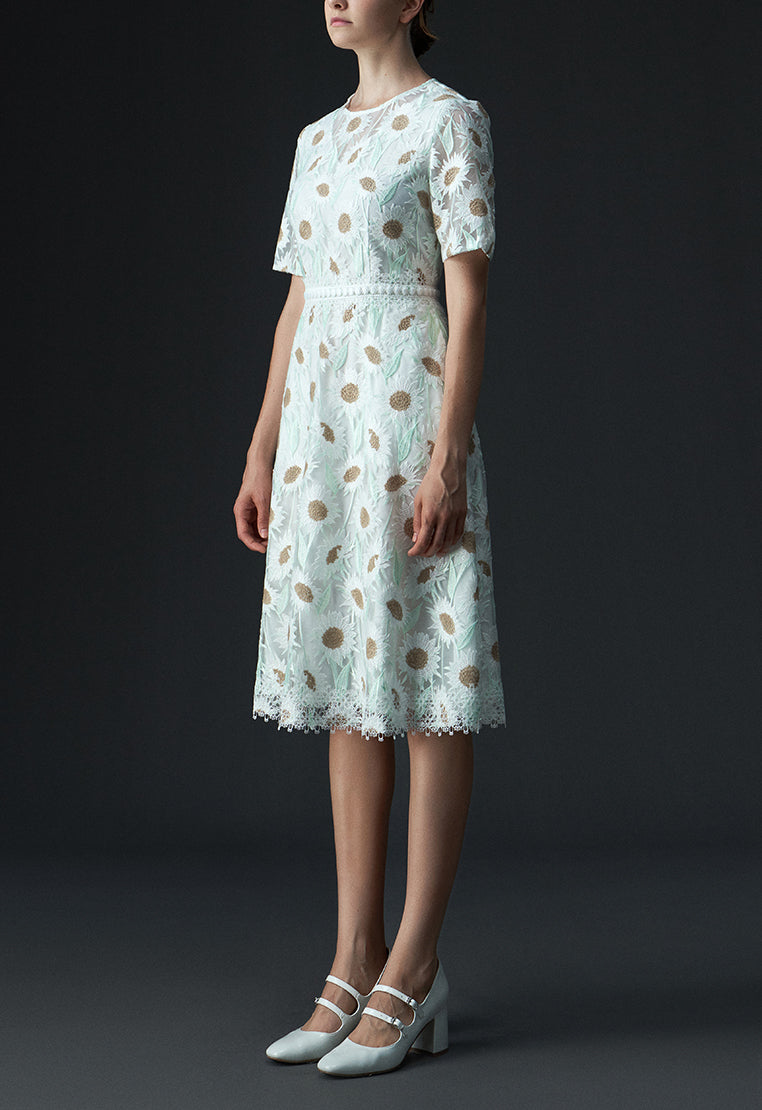 Chamomile Lace-detailing Short Sleeve Dress