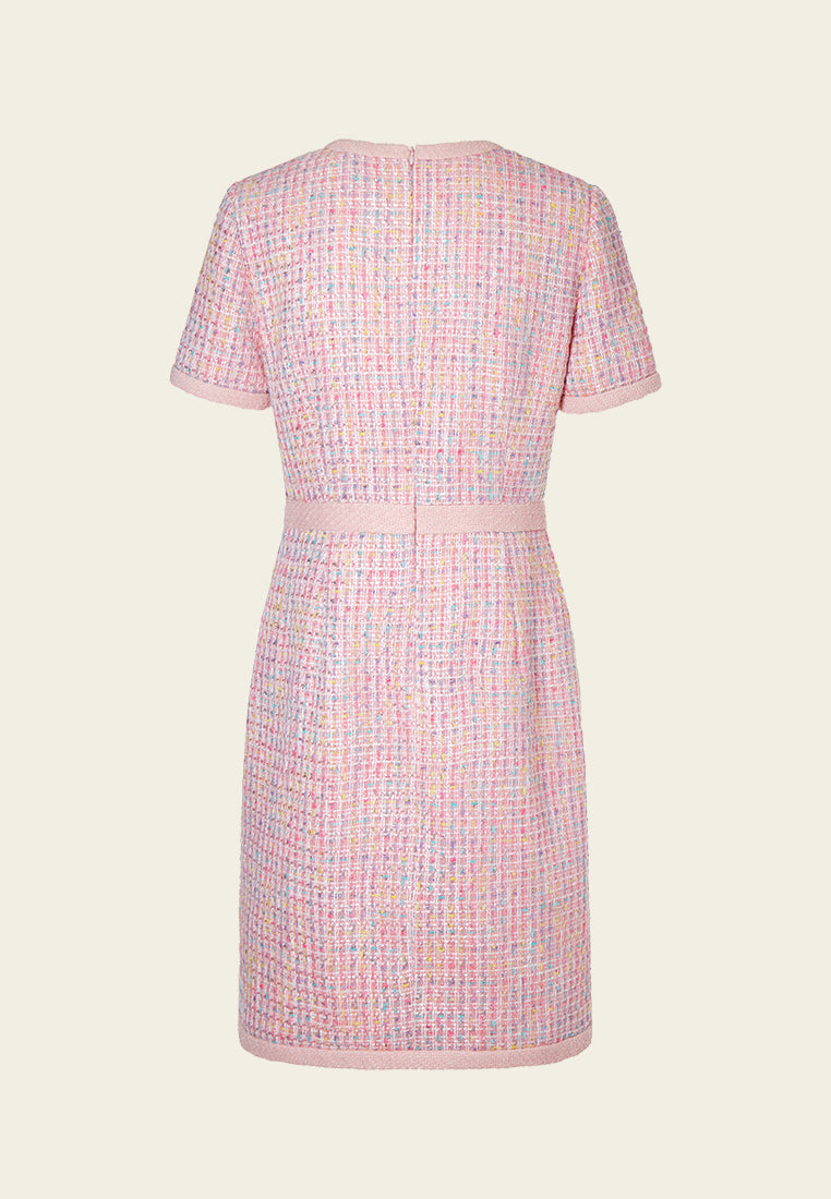 Pastel V-neck Tweed Dress