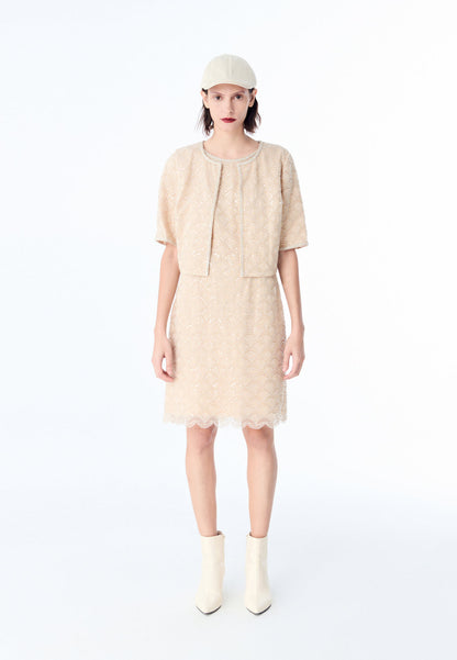 Beige Embroidered Mesh Sleeveless Dress